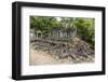 Beng Mealea Temple-Michael Nolan-Framed Photographic Print