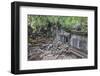 Beng Mealea Temple-Michael Nolan-Framed Photographic Print