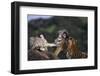 Bengal and Siberian Tiger Cubs Playing on Rocks-DLILLC-Framed Photographic Print