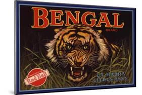 Bengal Brand - La Habra, California - Citrus Crate Label-Lantern Press-Mounted Art Print