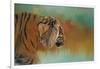 Bengal Energy-Jai Johnson-Framed Giclee Print