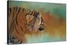 Bengal Energy-Jai Johnson-Stretched Canvas