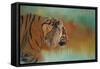 Bengal Energy-Jai Johnson-Framed Stretched Canvas