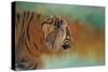 Bengal Energy-Jai Johnson-Stretched Canvas