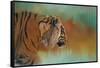 Bengal Energy-Jai Johnson-Framed Stretched Canvas