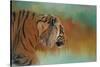 Bengal Energy-Jai Johnson-Stretched Canvas