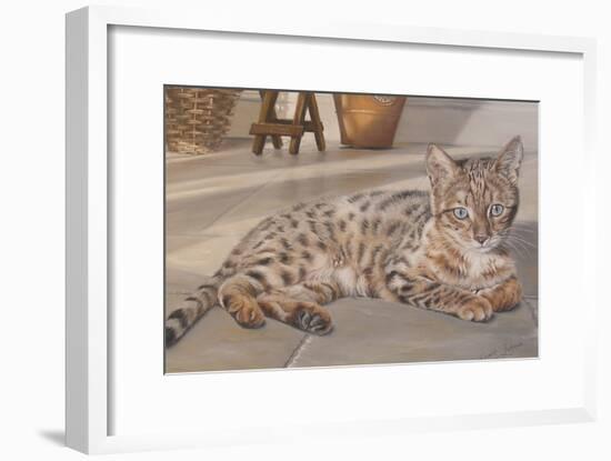 Bengal Kitten-Janet Pidoux-Framed Giclee Print