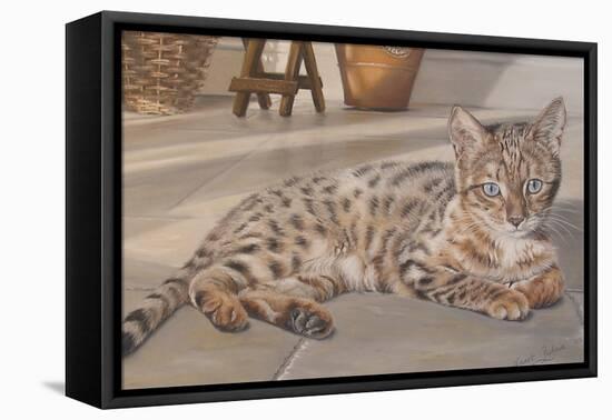 Bengal Kitten-Janet Pidoux-Framed Stretched Canvas