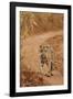 Bengal Tiger Cub on the Move, Tadoba Andheri Tiger Reserve, India-Jagdeep Rajput-Framed Photographic Print