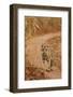 Bengal Tiger Cub on the Move, Tadoba Andheri Tiger Reserve, India-Jagdeep Rajput-Framed Photographic Print