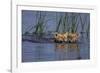 Bengal Tiger Cubs Swimming-DLILLC-Framed Photographic Print