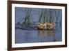 Bengal Tiger Cubs Swimming-DLILLC-Framed Photographic Print