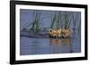 Bengal Tiger Cubs Swimming-DLILLC-Framed Photographic Print