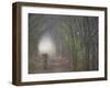 Bengal Tiger in the Forest, Ranthambore National Park, Rajasthan, India-Keren Su-Framed Photographic Print