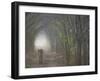 Bengal Tiger in the Forest, Ranthambore National Park, Rajasthan, India-Keren Su-Framed Photographic Print