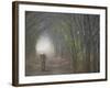 Bengal Tiger in the Forest, Ranthambore National Park, Rajasthan, India-Keren Su-Framed Photographic Print