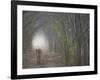 Bengal Tiger in the Forest, Ranthambore National Park, Rajasthan, India-Keren Su-Framed Photographic Print