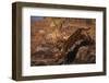 Bengal Tiger Jumping from Boulder-DLILLC-Framed Photographic Print