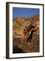 Bengal Tiger Jumping from Rock-DLILLC-Framed Photographic Print