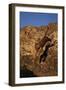 Bengal Tiger Jumping from Rock-DLILLC-Framed Photographic Print