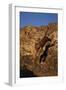 Bengal Tiger Jumping from Rock-DLILLC-Framed Photographic Print