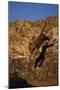 Bengal Tiger Jumping from Rock-DLILLC-Mounted Photographic Print