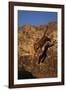 Bengal Tiger Jumping from Rock-DLILLC-Framed Photographic Print