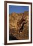 Bengal Tiger Jumping from Rock-DLILLC-Framed Photographic Print