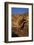 Bengal Tiger Jumping from Rock-DLILLC-Framed Photographic Print