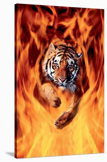 Bengal Tiger Jumping in Flames-null-Stretched Canvas