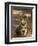 Bengal Tiger, Panthera Tigris Tigris, Bandhavgarh National Park, Madhya Pradesh, India, Asia-Thorsten Milse-Framed Photographic Print