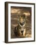 Bengal Tiger, Panthera Tigris Tigris, Bandhavgarh National Park, Madhya Pradesh, India, Asia-Thorsten Milse-Framed Photographic Print