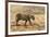 Bengal tiger (Panthera tigris tigris), Bandhavgarh National Park, Madhya Pradesh, India, Asia-Sergio Pitamitz-Framed Photographic Print