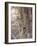 Bengal Tiger, Panthera Tigris Tigris, Bandhavgarh National Park, Madhya Pradesh, India-Thorsten Milse-Framed Photographic Print