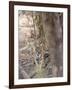 Bengal Tiger, Panthera Tigris Tigris, Bandhavgarh National Park, Madhya Pradesh, India-Thorsten Milse-Framed Photographic Print