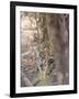 Bengal Tiger, Panthera Tigris Tigris, Bandhavgarh National Park, Madhya Pradesh, India-Thorsten Milse-Framed Photographic Print