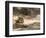 Bengal Tiger, Panthera Tigris Tigris, Bandhavgarh National Park, Madhya Pradesh, India-Thorsten Milse-Framed Photographic Print