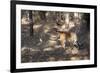 Bengal Tiger, Panthera Tigris Tigris, Bandhavgarh National Park, Madhya Pradesh, India-Kim Sullivan-Framed Photographic Print