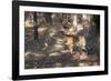 Bengal Tiger, Panthera Tigris Tigris, Bandhavgarh National Park, Madhya Pradesh, India-Kim Sullivan-Framed Photographic Print