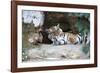 Bengal Tiger, Panthera Tigris Tigris, Bandhavgarh National Park, Madhya Pradesh, India-Kim Sullivan-Framed Photographic Print