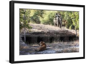 Bengal Tiger, Panthera Tigris Tigris, Bandhavgarh National Park, Madhya Pradesh, India-Kim Sullivan-Framed Photographic Print