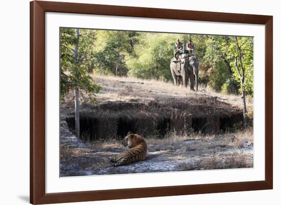 Bengal Tiger, Panthera Tigris Tigris, Bandhavgarh National Park, Madhya Pradesh, India-Kim Sullivan-Framed Photographic Print