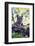 Bengal Tiger, Panthera Tigris Tigris, Bandhavgarh National Park, Madhya Pradesh, India-Kim Sullivan-Framed Photographic Print