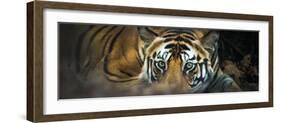 Bengal Tiger (Panthera Tigris Tigris), India-null-Framed Premium Photographic Print