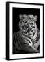 Bengal Tiger (Panthera Tigris Tigris), Kanha National Park, Madhya Pradesh, India-null-Framed Premium Photographic Print