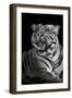 Bengal Tiger (Panthera Tigris Tigris), Kanha National Park, Madhya Pradesh, India-null-Framed Photographic Print