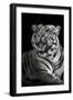 Bengal Tiger (Panthera Tigris Tigris), Kanha National Park, Madhya Pradesh, India-null-Framed Photographic Print