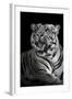 Bengal Tiger (Panthera Tigris Tigris), Kanha National Park, Madhya Pradesh, India-null-Framed Photographic Print