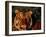 Bengal Tiger (Panthera Tigris Tigris)-Lynn M^ Stone-Framed Premium Photographic Print