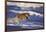 Bengal Tiger Running along the Beach-DLILLC-Framed Photographic Print